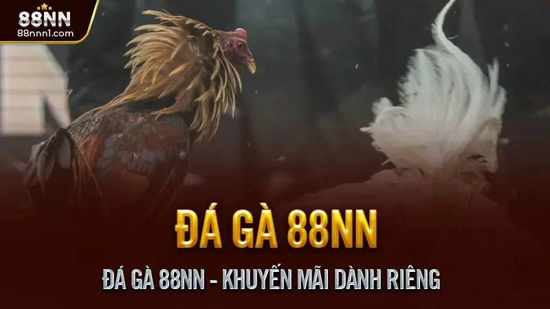 Đá Gà 88NN - Khuyến Mãi Dành Riêng