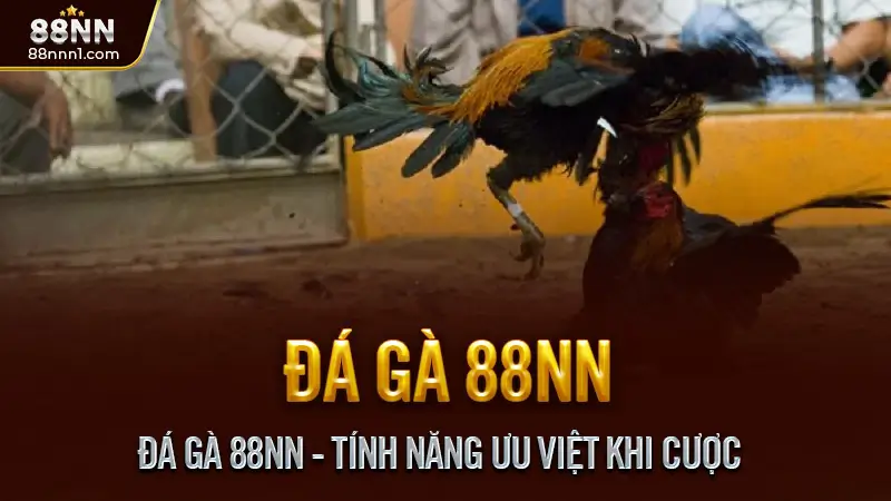 Đá Gà 88NN - Tính Năng Ưu Việt Khi Cược